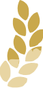 Imgi 5 Flow Hero Leaf 1 4