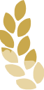 Imgi 5 Flow Hero Leaf 1 5